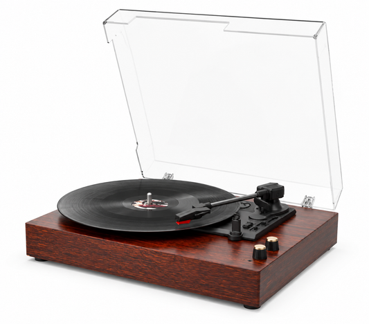 Platine Vinyle Gaston